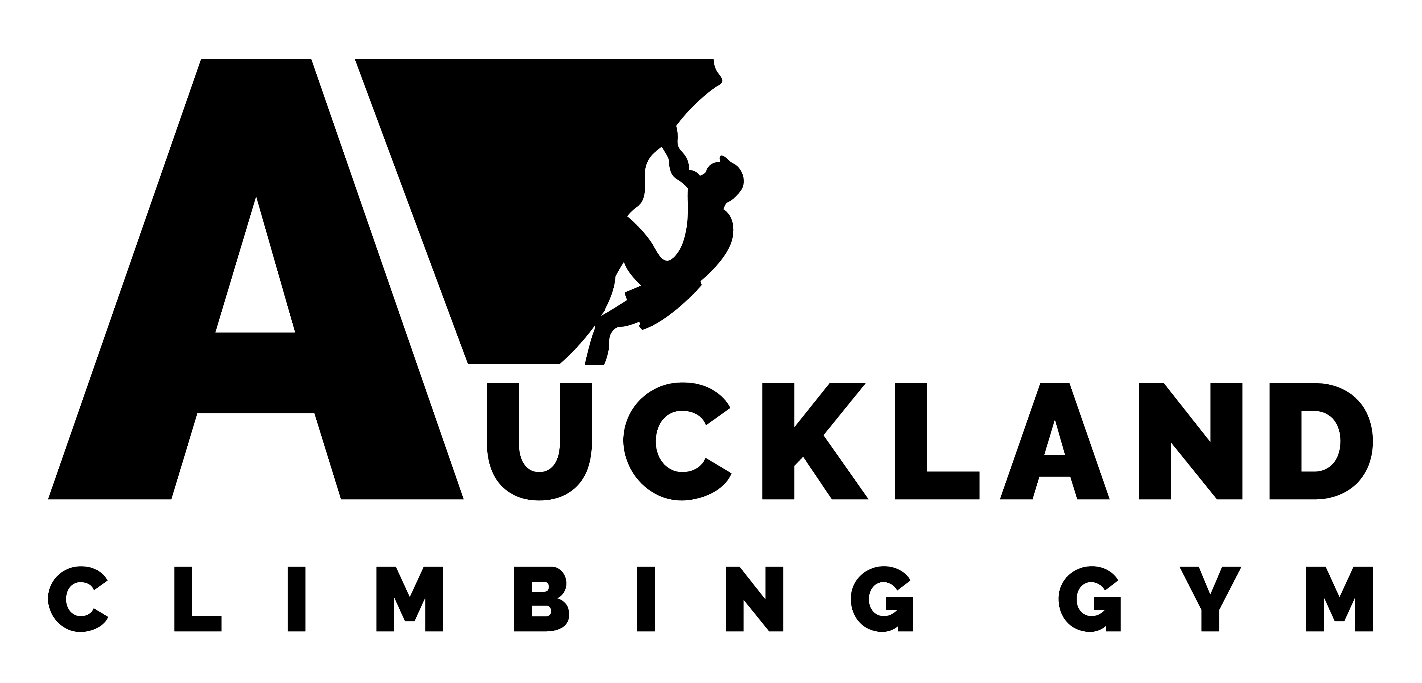 Auckland Climbing Gym